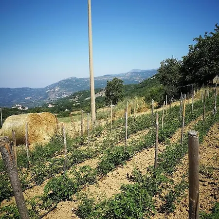 Agriturismo Prato Farm stay *